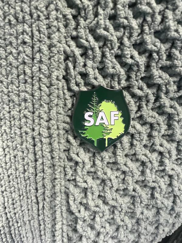 SAF Lapel Pin