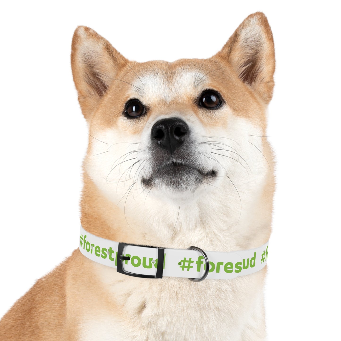 #forestproud Dog Collar