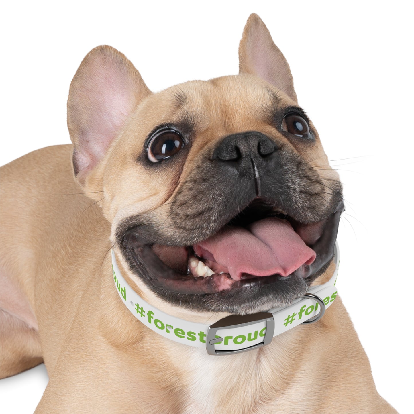 #forestproud Dog Collar