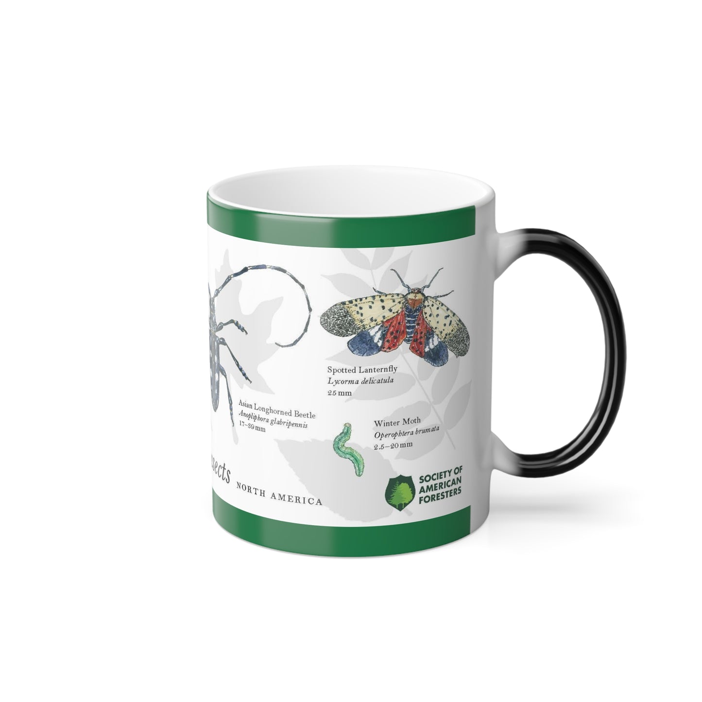 Invasive Forest Insects Magic Mug