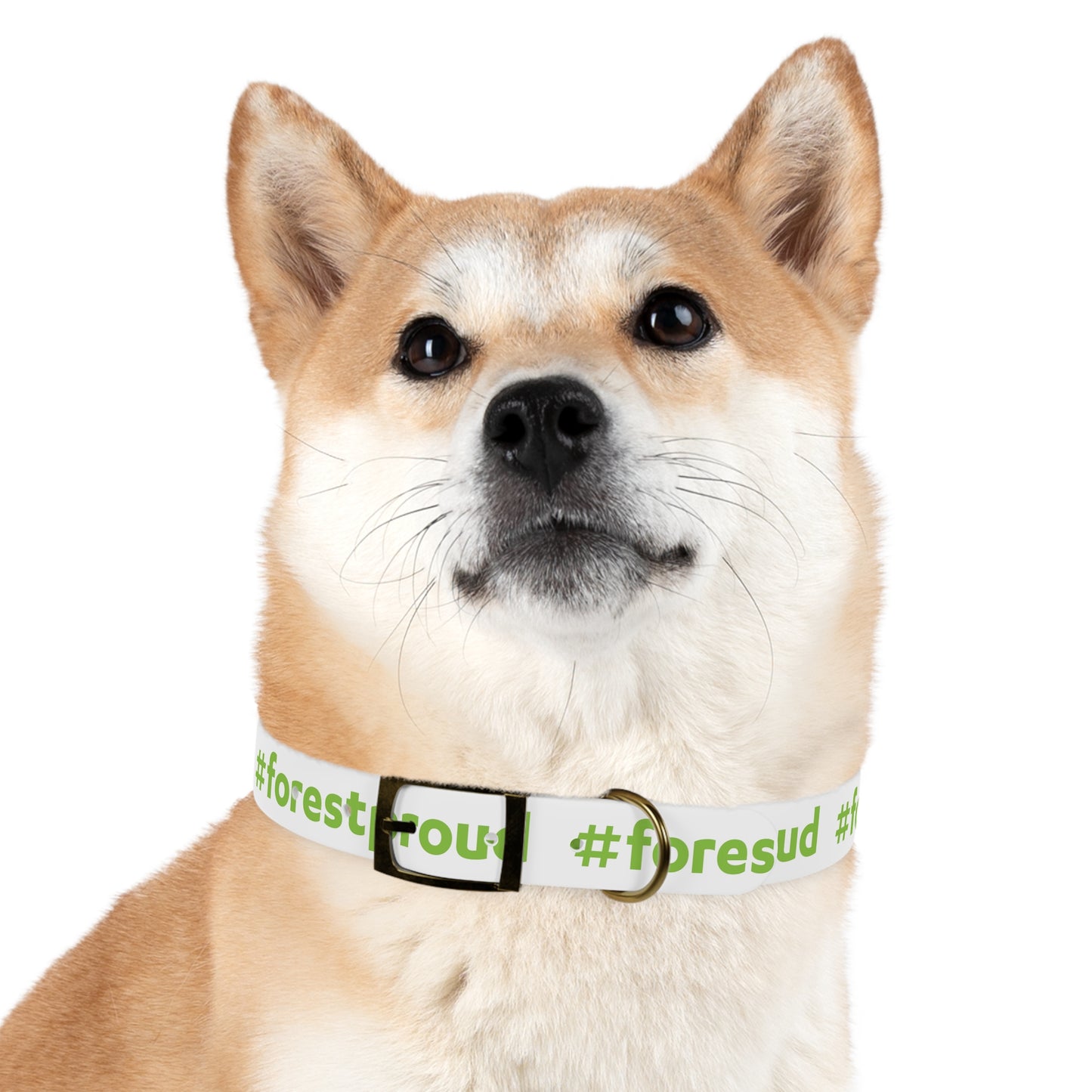 #forestproud Dog Collar