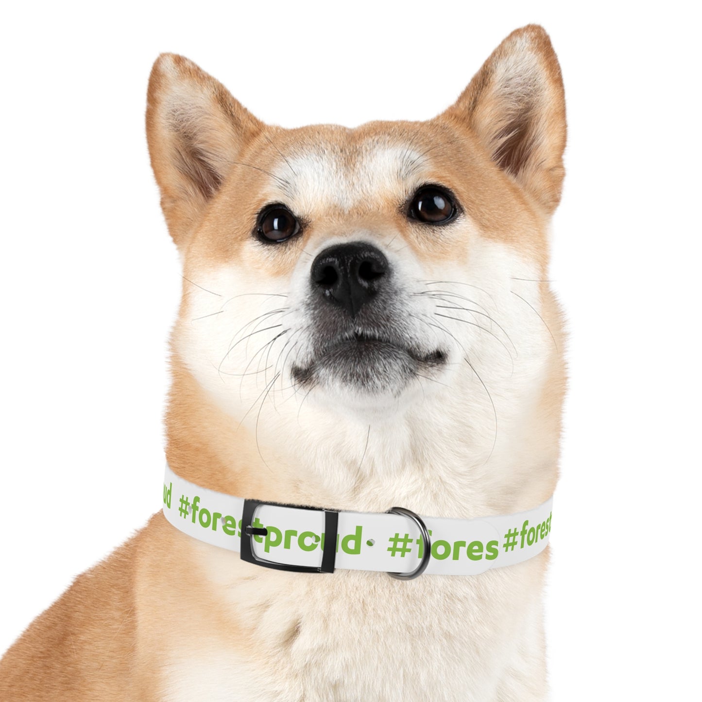 #forestproud Dog Collar