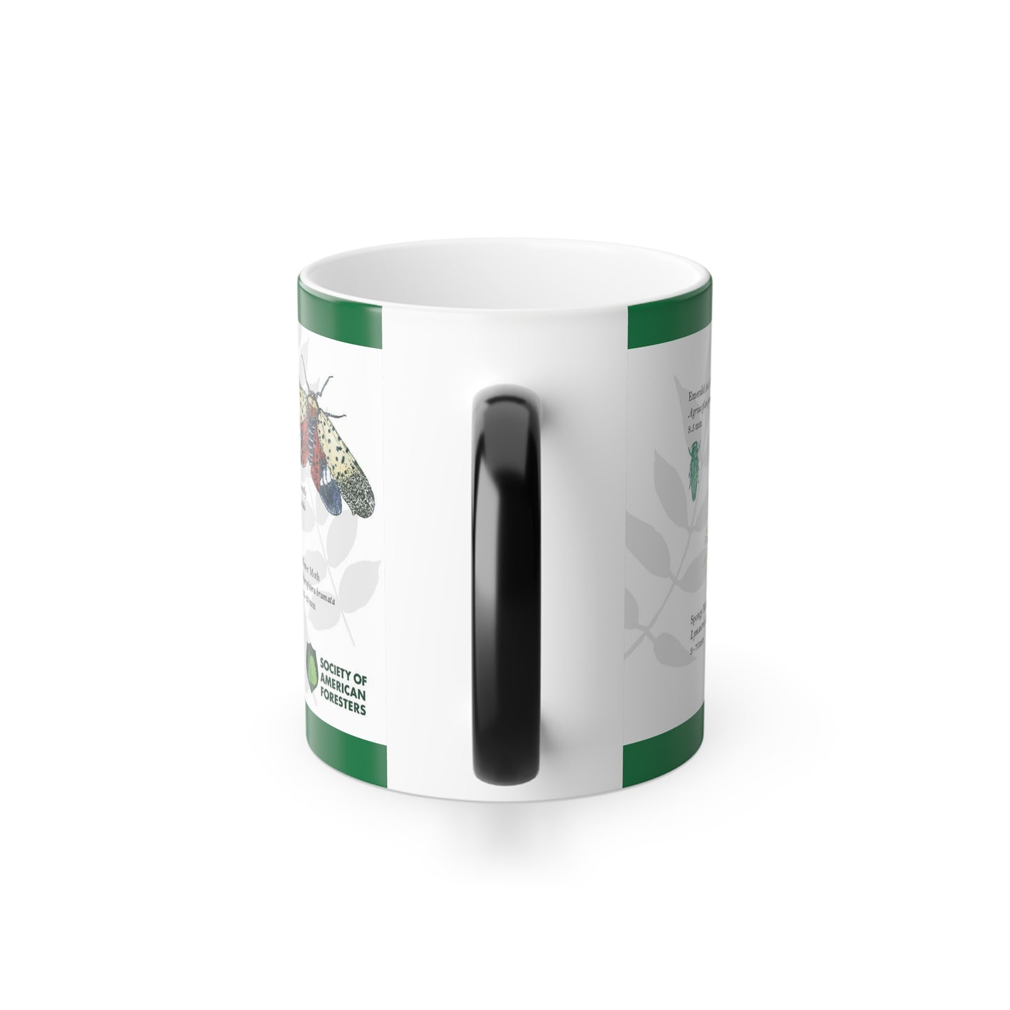 Invasive Forest Insects Magic Mug
