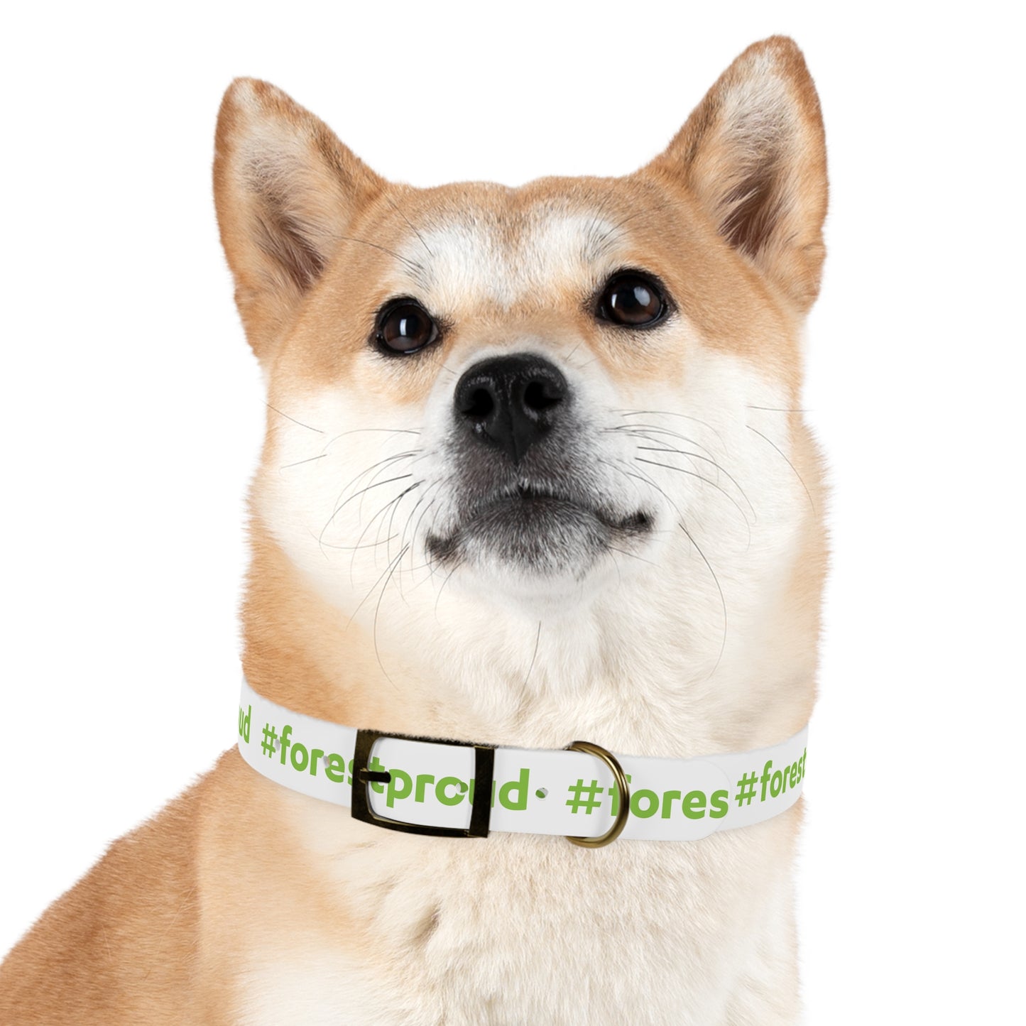 #forestproud Dog Collar