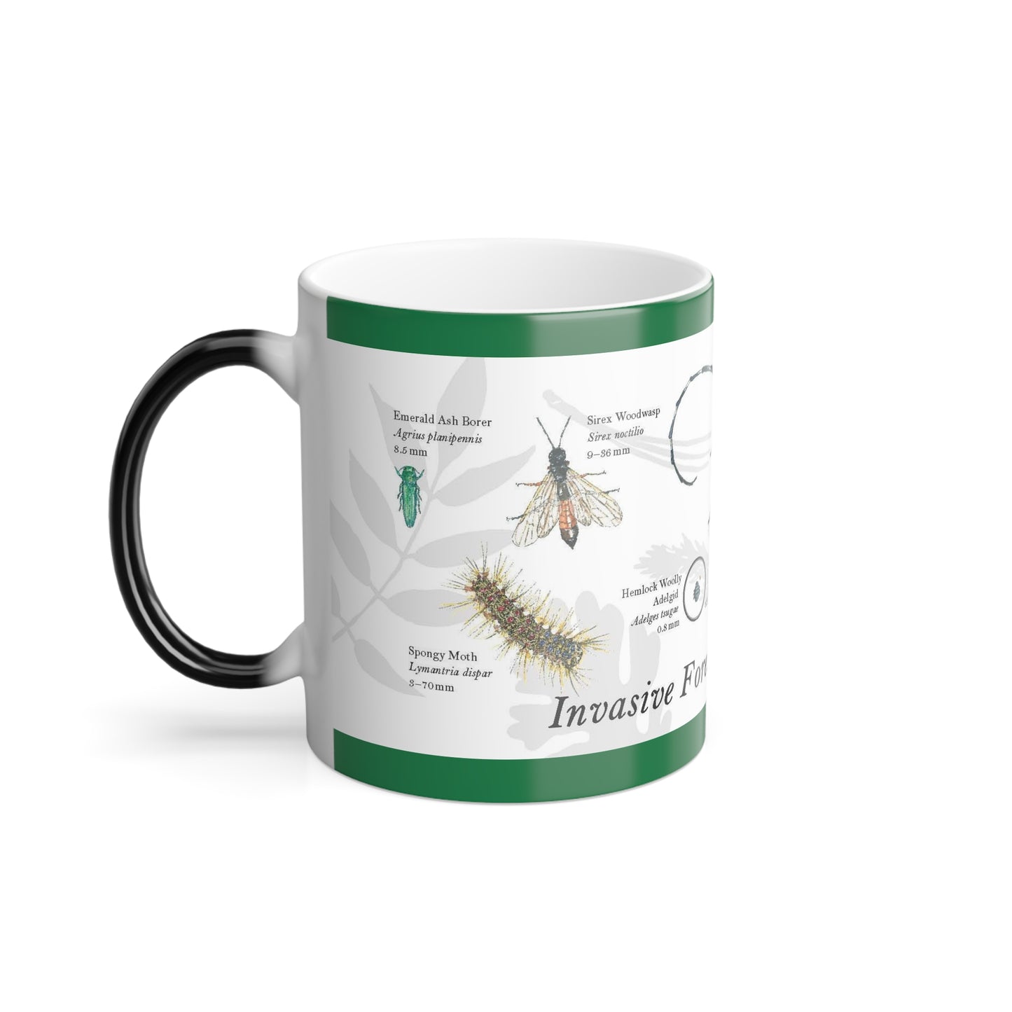 Invasive Forest Insects Magic Mug