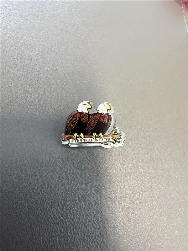 ThankAForester Eagle Pin