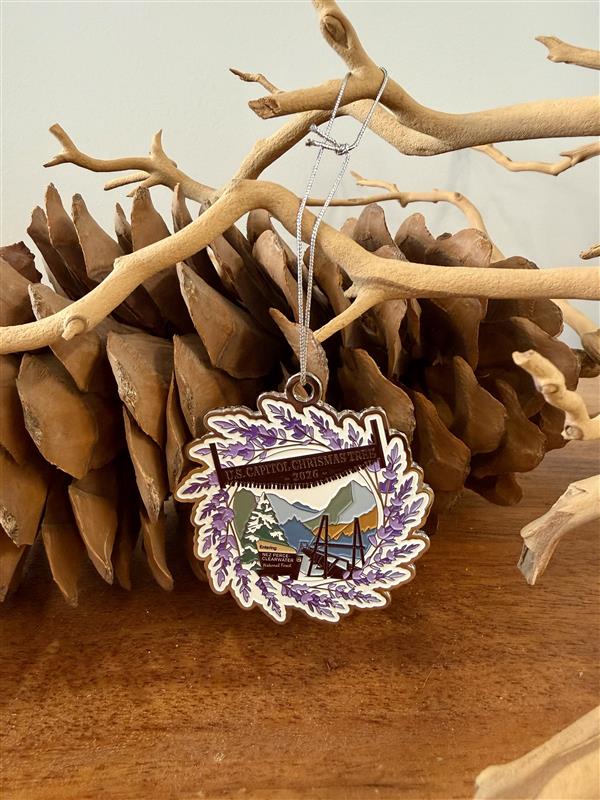 USCCT Logo Ornament