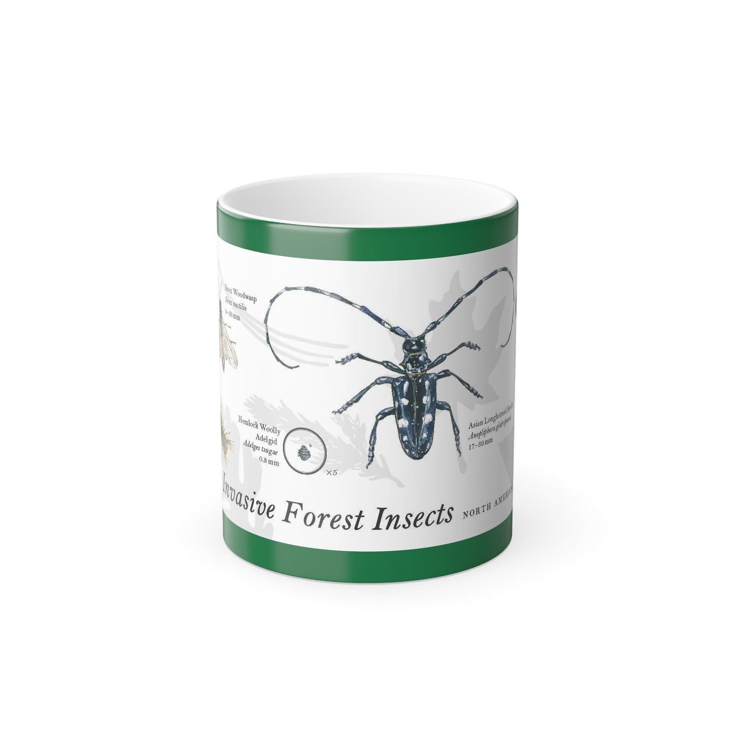 Invasive Forest Insects Magic Mug