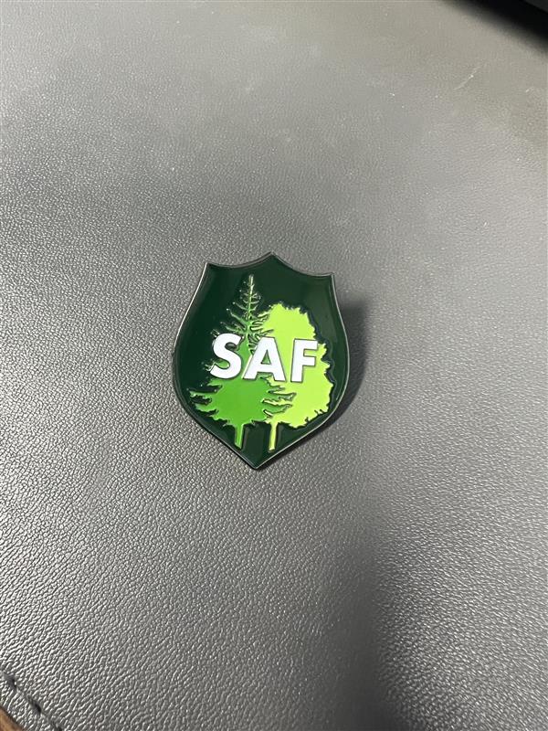 SAF Lapel Pin