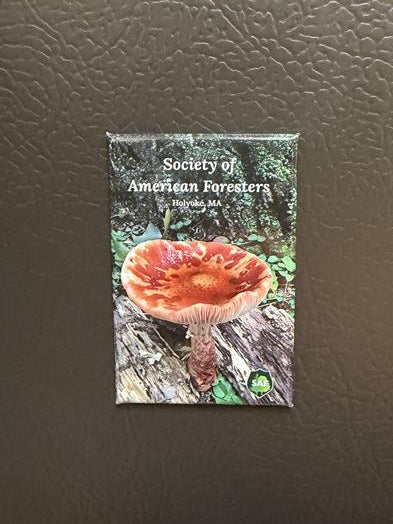 SAF Mushroom Magnet