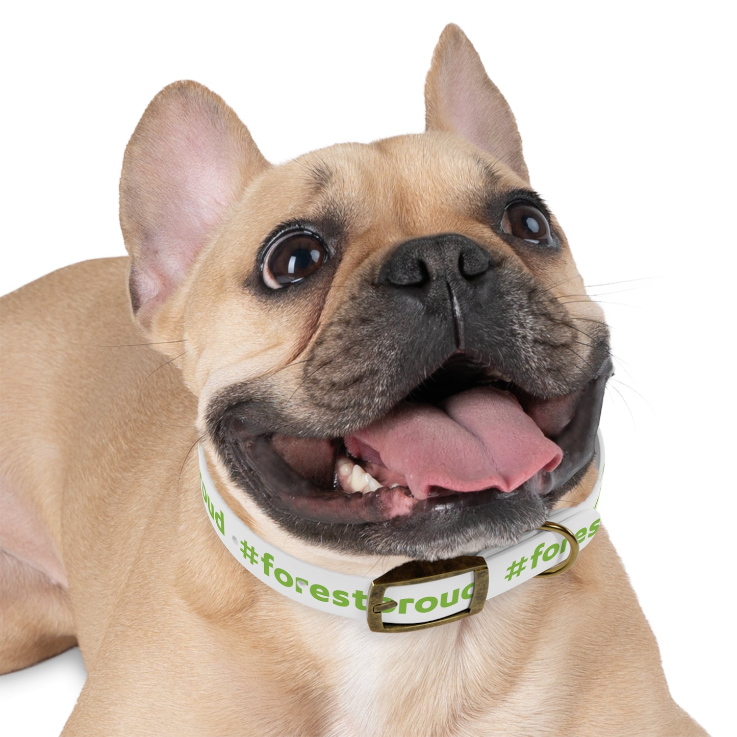 #forestproud Dog Collar