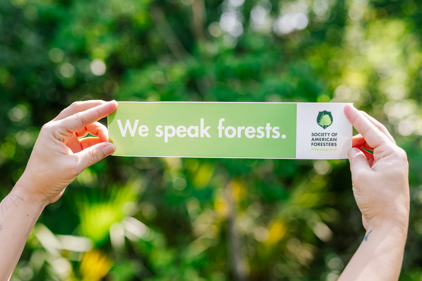 We Speak Forests Bumper Sticker