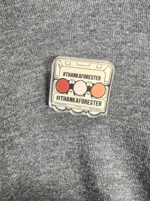 Egg Carton #ThankAForester pin