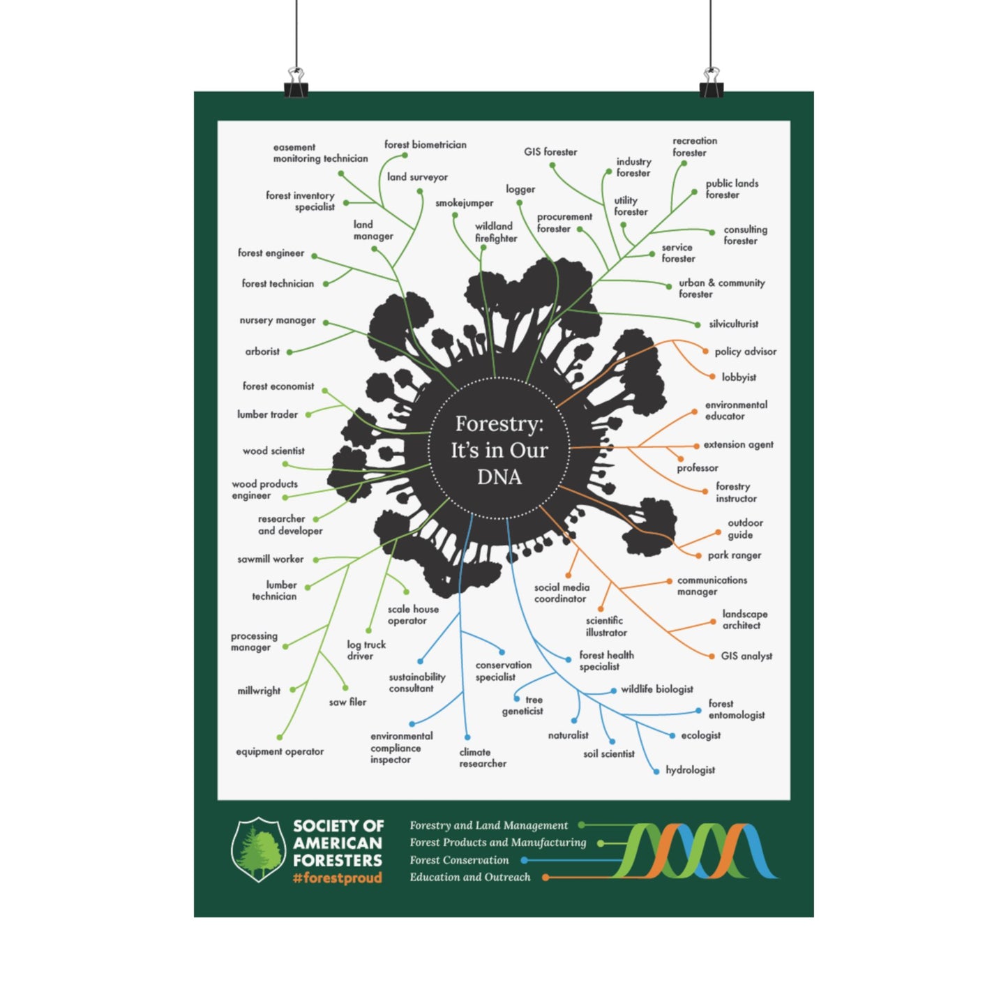 Forestry DNA Poster