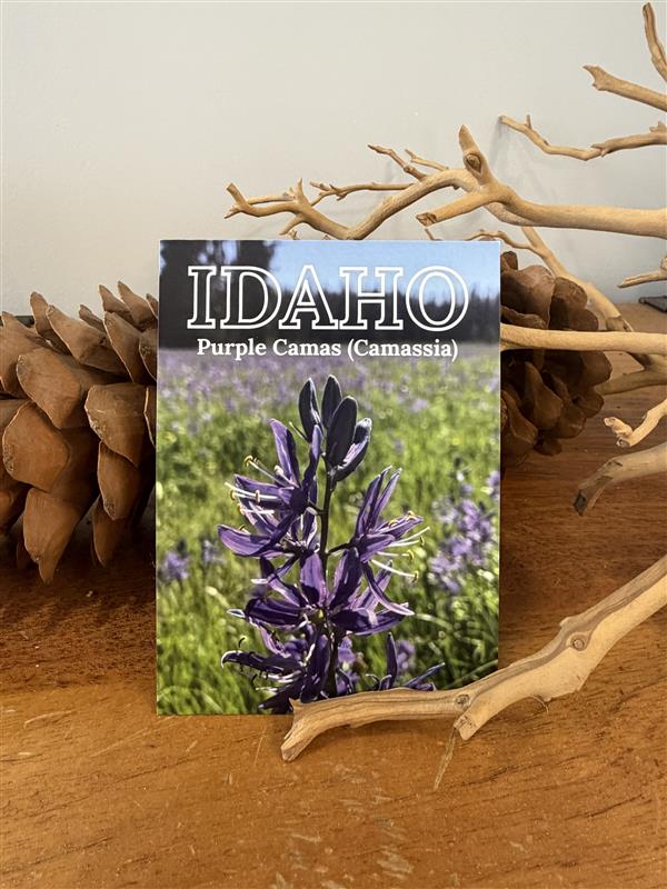 USCCT Idaho Postcard