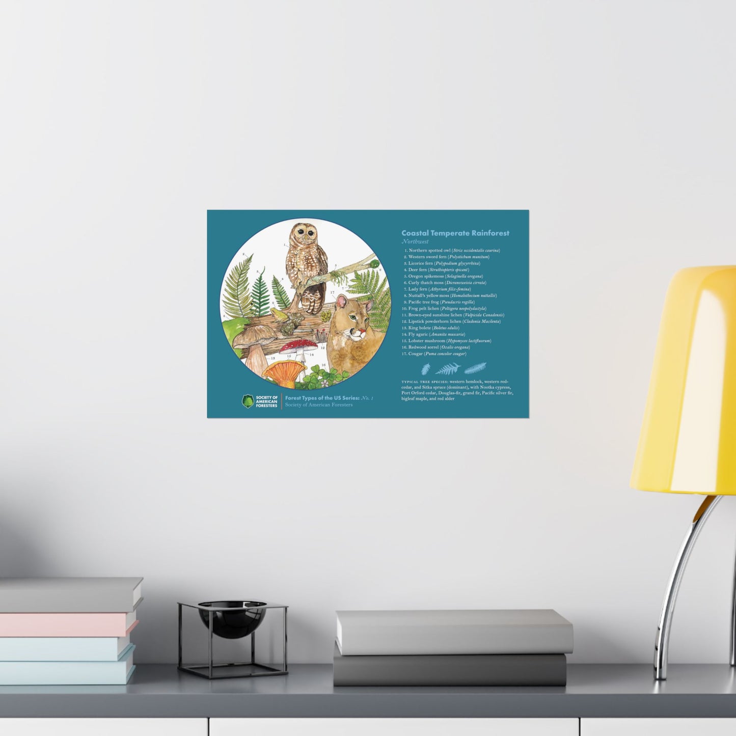 Northwest Forest Cover Type Poster