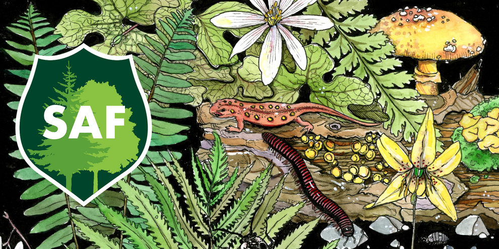 Biodiversity Bumper Sticker – Shop Society of American Foresters