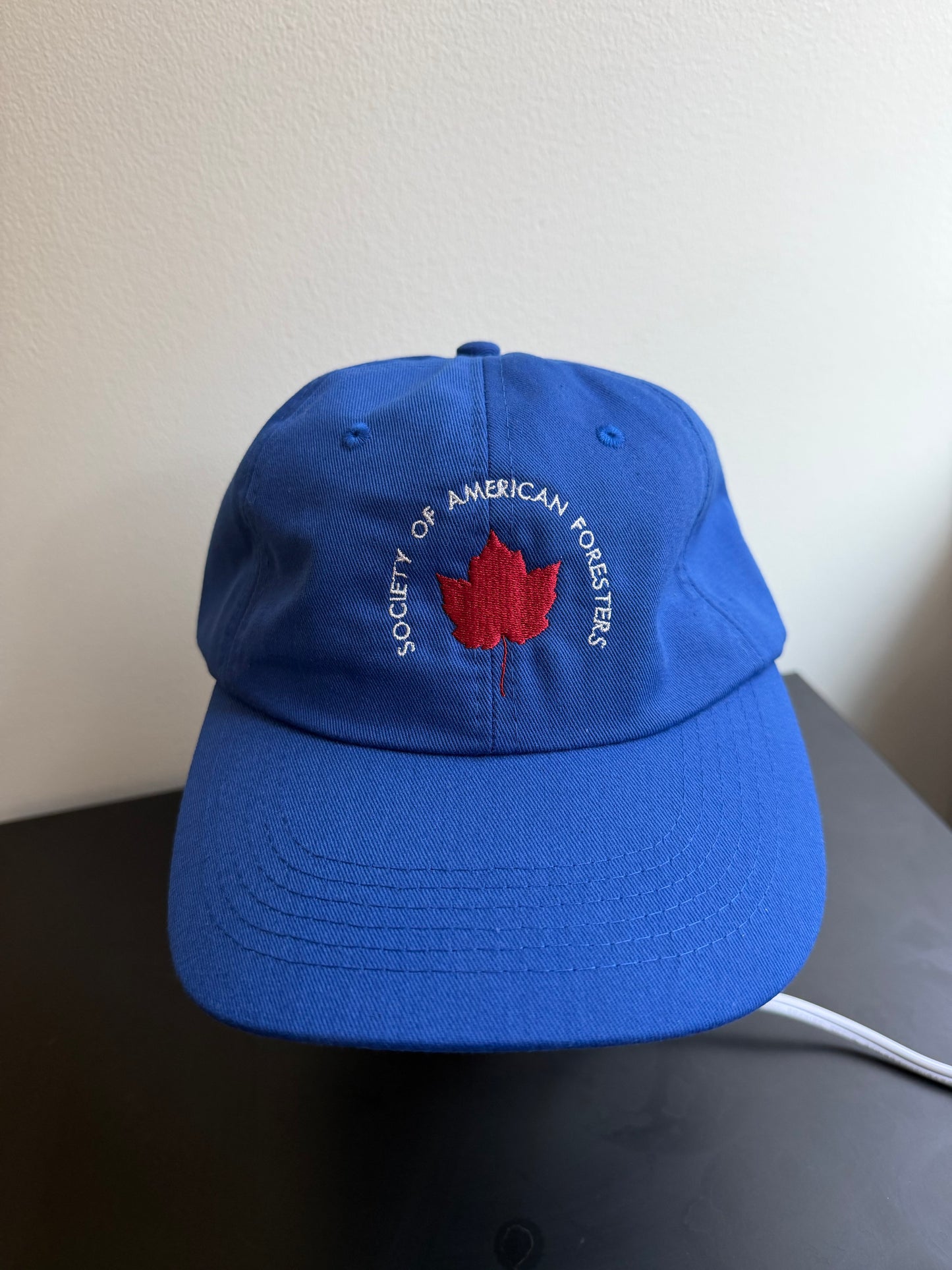 Embroidered Maple Leaf Dad Hat