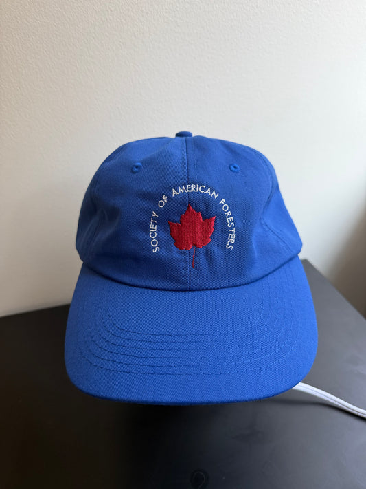 Embroidered Maple Leaf Dad Hat