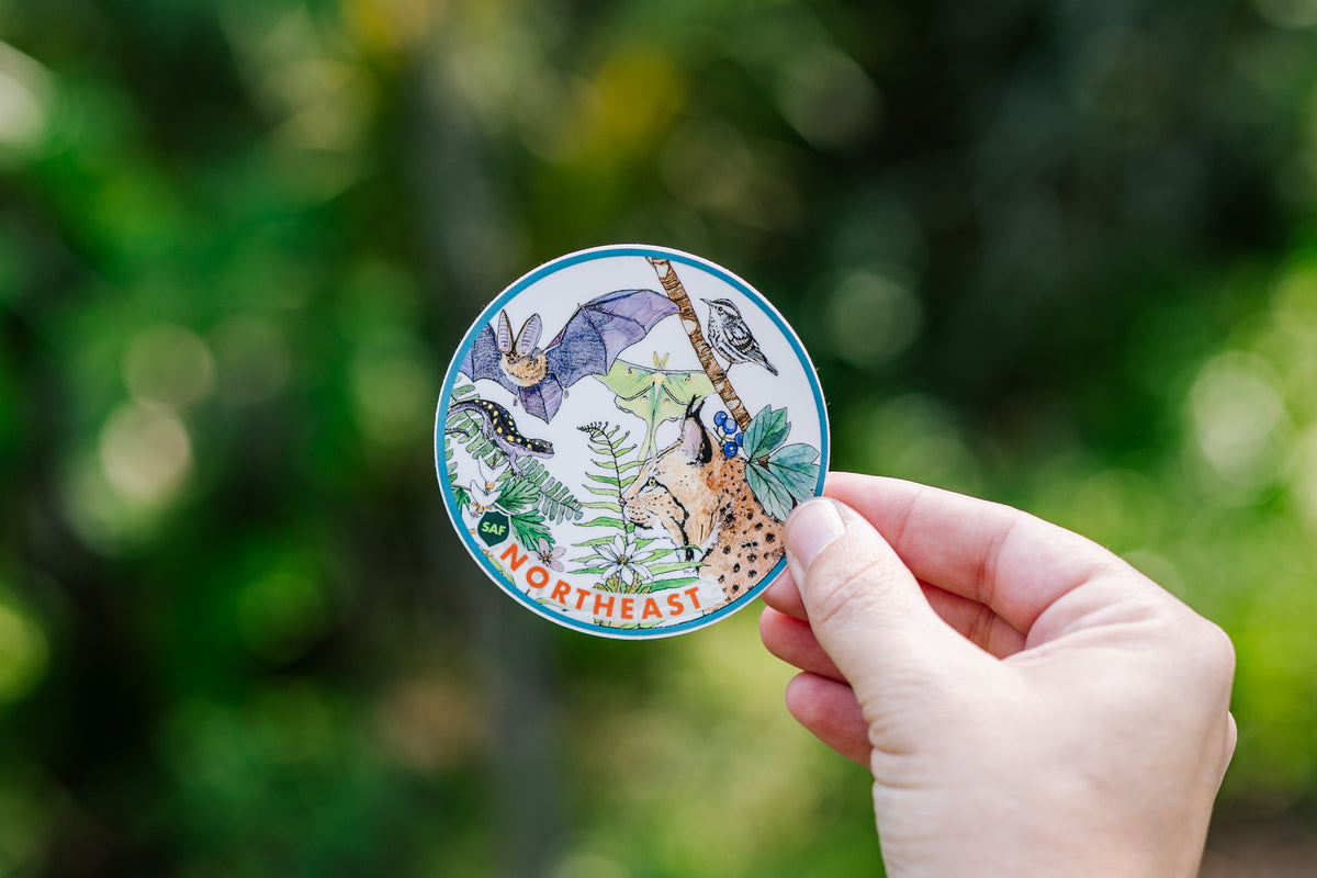 Forest Cover Type Sticker: Northeast