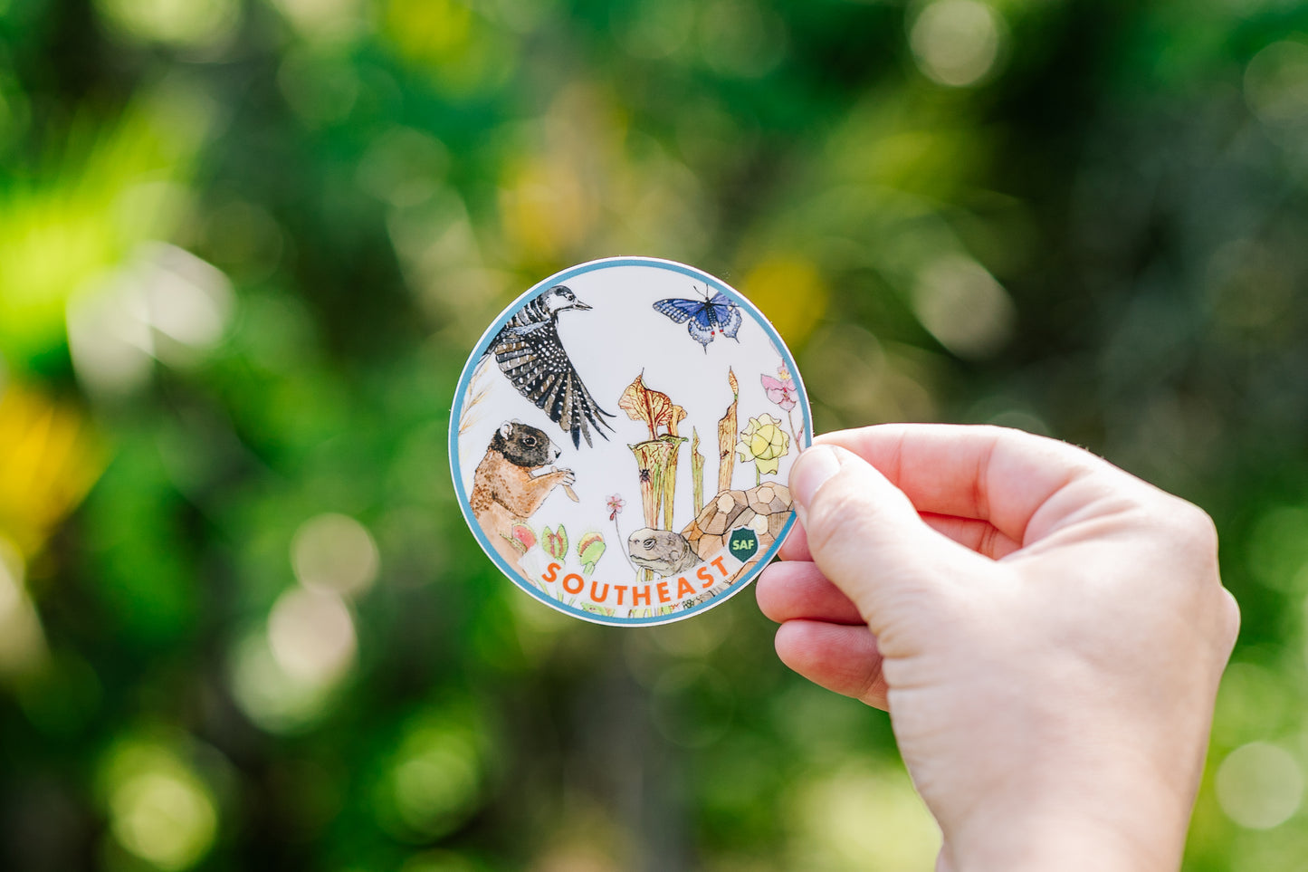 Forest Cover Type Sticker: Southeast