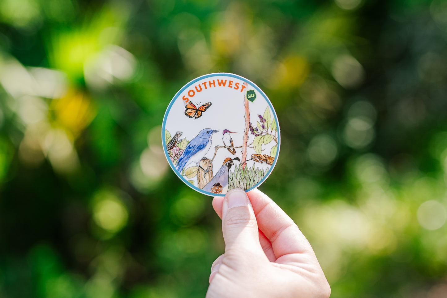 Forest Cover Type Sticker: Southwest