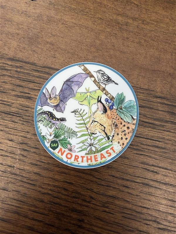 Forest Cover Type Sticker: Northeast