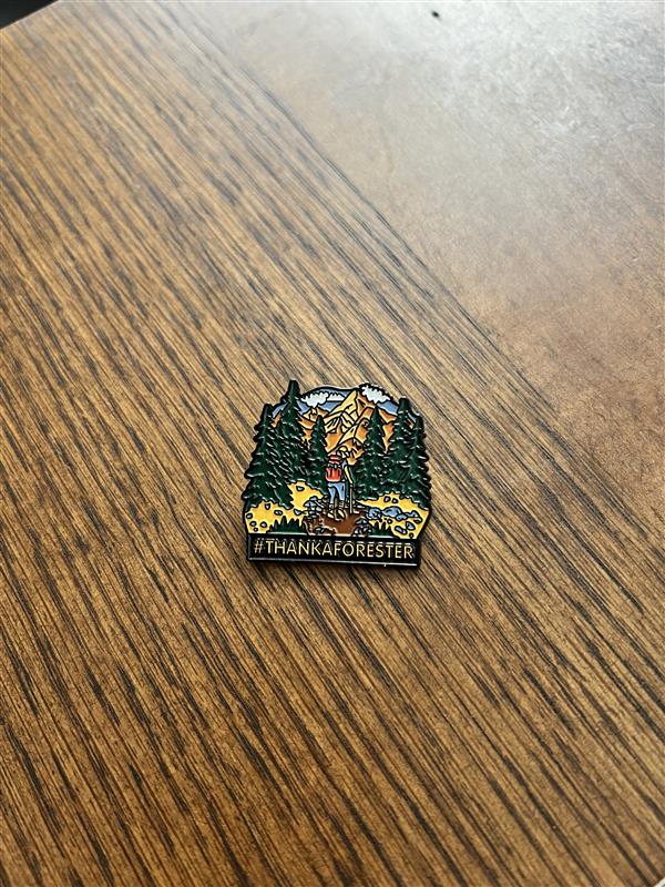 #ThankAForester Hiking Pin