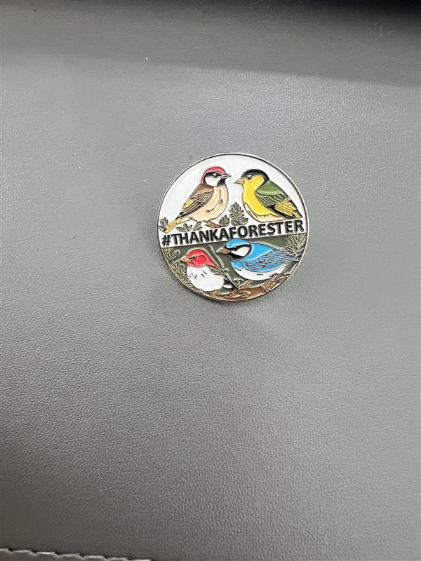 #ThankAForester Bird Pin
